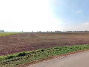 Prodej podílu pole, Jenišovice, 1656 m2