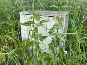 Prodej pozemku, Skalička, 758 m2