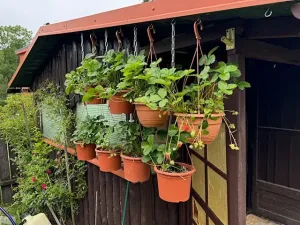 Prodej bytu 2+1, Smržovka, Hlavní, 83 m2