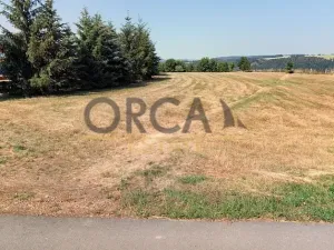 Prodej pozemku, Zvíkovec, 1587 m2