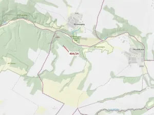 Dražba lesa, Ivančice, 741 m2