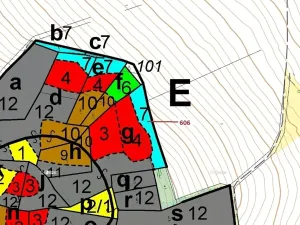 Dražba lesa, Kuřimany, 2526 m2