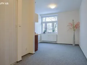 Pronájem bytu 1+kk, Praha - Hlubočepy, Na Zlíchově, 20 m2