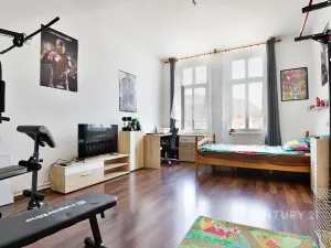 Prodej činžovního domu, Ústí nad Labem, Raisova, 416 m2