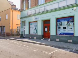 Prodej činžovního domu, Ústí nad Labem, Raisova, 416 m2