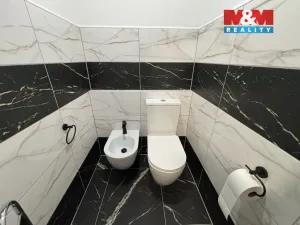 Pronájem rodinného domu, Obříství, Svatopluka Čecha, 73 m2