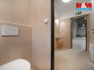 Prodej skladu, Cerekvice nad Loučnou - Pekla, 794 m2