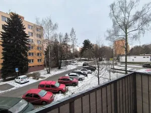 Pronájem bytu 2+1, Brno, Družstevní, 56 m2