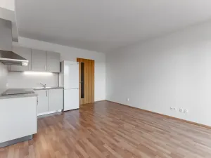 Pronájem bytu 2+kk, Praha - Vysočany, Strnadových, 55 m2