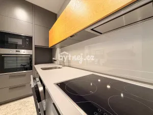 Pronájem bytu 1+kk, Brno - Trnitá, Křenová, 2641 m2