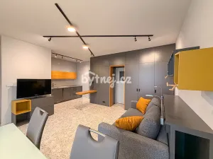 Pronájem bytu 1+kk, Brno - Trnitá, Křenová, 2641 m2