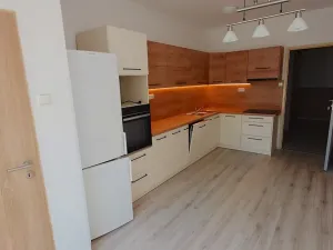 Pronájem bytu 3+1, České Budějovice, Jeronýmova, 108 m2