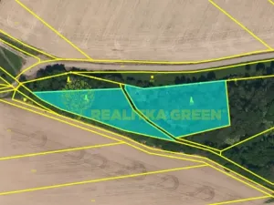 Prodej lesa, Jistebník, 5452 m2