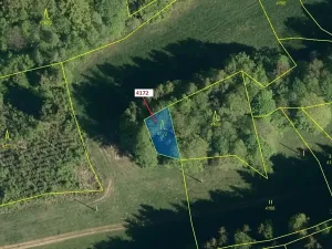 Dražba lesa, Zděchov, 216 m2