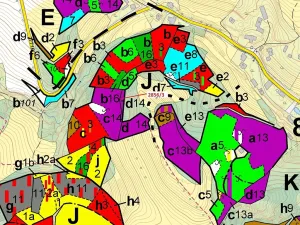 Dražba lesa, Český Dub, 448 m2