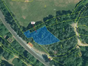 Dražba lesa, Plasy, 1287 m2