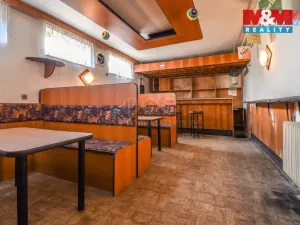 Prodej obchodního prostoru, Bílovec - Lubojaty, 500 m2