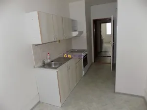 Pronájem bytu 1+1, Praha - Troja, Krynická, 40 m2