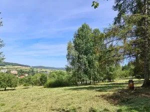 Prodej pozemku pro bydlení, Vlachovo Březí, 16463 m2