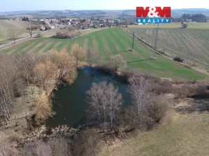 Prodej rybníku, Pelhřimov - Starý Pelhřimov, 2951 m2