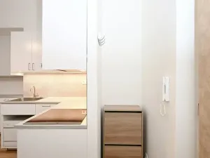 Pronájem bytu 1+1, Praha - Žižkov, Kubelíkova, 39 m2