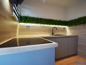 Pronájem bytu 2+1, Praha - Vinohrady, Lužická, 70 m2