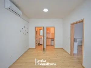 Pronájem komerční nemovitosti, Hodonín, Příční, 46 m2