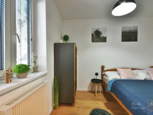 Prodej apartmánu, Kraslice, 30 m2