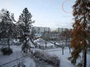 Pronájem bytu 2+1, Plzeň - Severní Předměstí, Elišky Krásnohorské, 65 m2