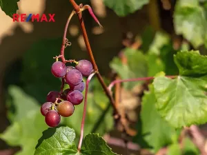 Prodej rodinného domu, Dolní Podluží, 537 m2