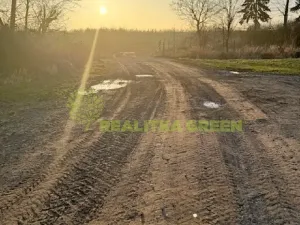 Prodej lesa, Jistebník, 5452 m2