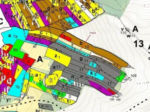 Dražba lesa, Přemyslovice, 7901 m2