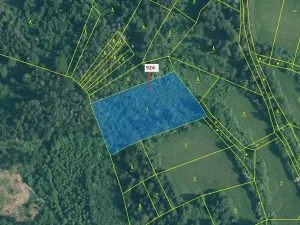 Dražba lesa, Rabí, 6042 m2