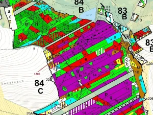 Dražba lesa, Chrbonín, 10189 m2