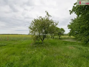 Prodej zahrady, Řepín, 1647 m2