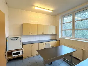 Pronájem obchodního prostoru, Český Těšín, Frýdecká, 160 m2