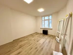 Pronájem bytu 2+1, Praha - Žižkov, Zelenky-Hajského, 70 m2