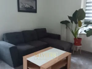 Pronájem bytu 1+1, Teplice, Americká, 38 m2