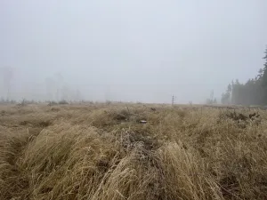 Prodej lesa, Městečko Trnávka - Lázy, 32904 m2