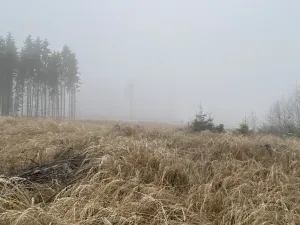 Prodej lesa, Městečko Trnávka - Lázy, 32904 m2