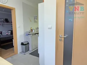 Prodej bytu 2+1, Prostějov, Jana Zrzavého, 55 m2