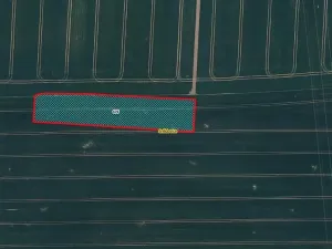 Prodej pole, Snědovice, 5445 m2