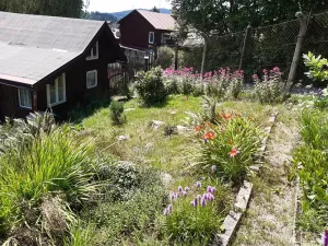 Prodej zahrady, Desná, Sokolská, 775 m2