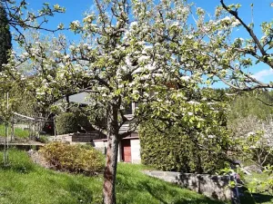 Prodej zahrady, Desná, Sokolská, 775 m2