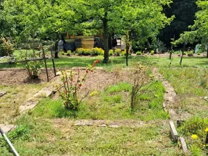 Prodej zahrady, Desná, Sokolská, 775 m2
