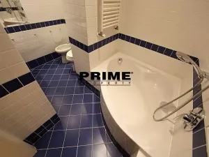 Pronájem bytu 2+1, Praha - Vinohrady, Anny Letenské, 54 m2