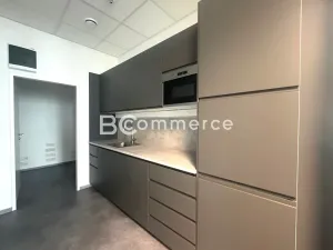 Pronájem kanceláře, Brno, Vídeňská, 175 m2