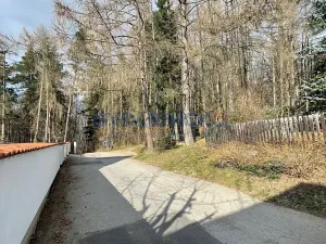 Pronájem bytu 3+kk, Staré Hodějovice, Lesní, 110 m2