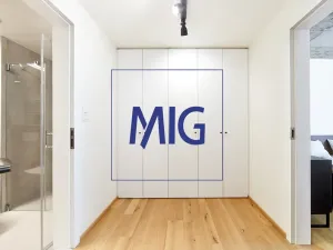 Pronájem bytu 2+kk, Brno, Cejl, 48 m2