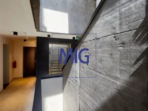 Pronájem bytu 2+kk, Brno, Cejl, 48 m2